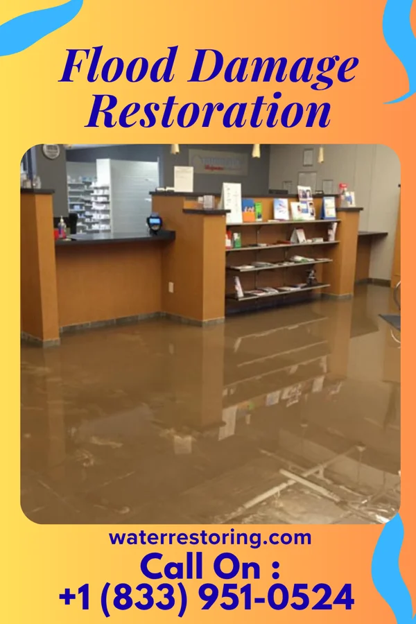 Flood Damage Restoration in Millbrook, IL